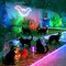 6 Pcs Black Cat Halloween Decorations Plastic Yard Signs with Stakes